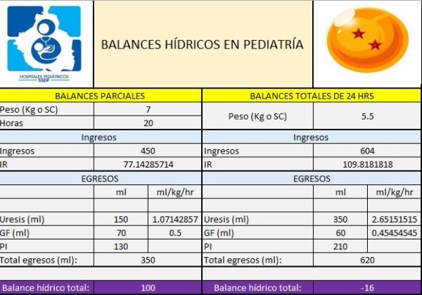 Balances hídricos en pediatría "básicos" - Excel